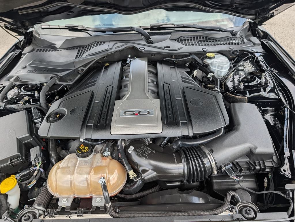 2019 Ford Mustang GT