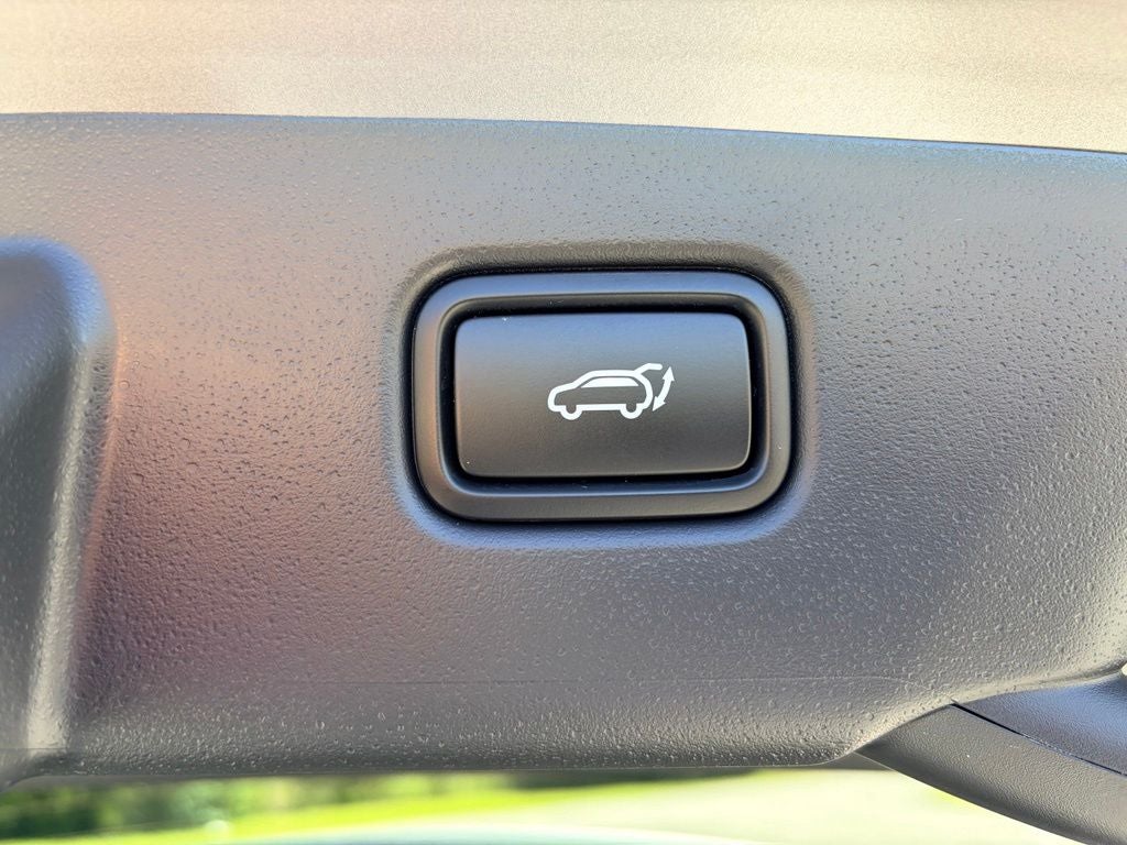 2024 Kia Niro EV Wind